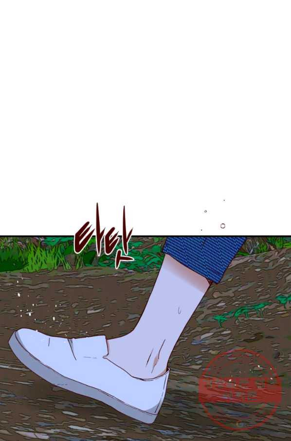 1634878635188erl6uhul09s.jpeg