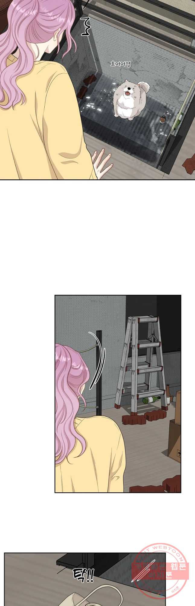 16353133350307sbk0qhvqsa.jpeg