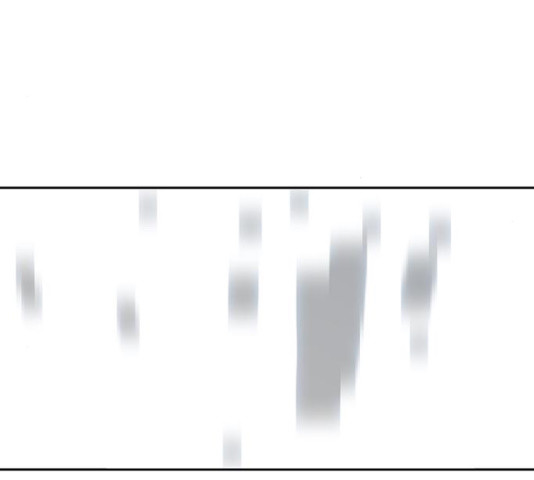 1635585621763o6hssbf63l.jpeg