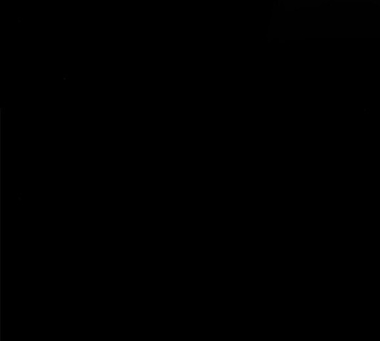 1635809758740rxu1sremv5c.jpeg