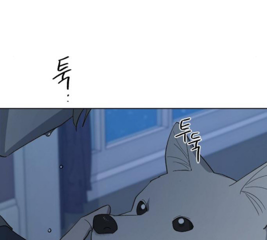16359702950586dmo7n6f6lw.jpeg