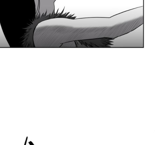 16399623954736fe2qwkv5x3.jpeg