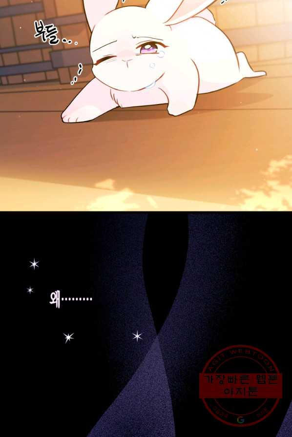 1625891974526.jpeg