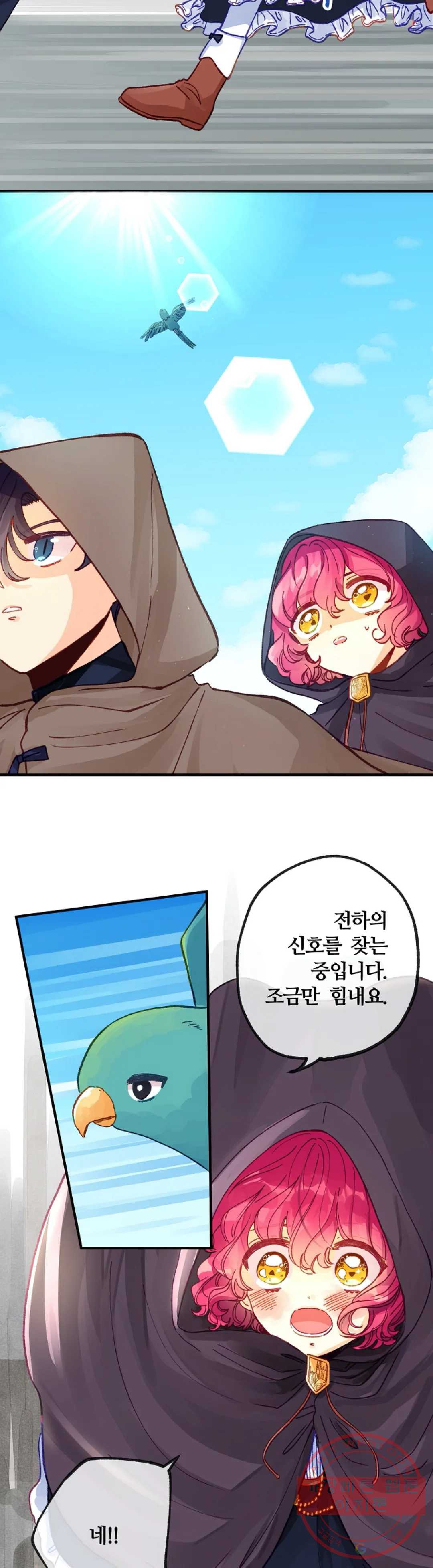 1626324964791.jpeg