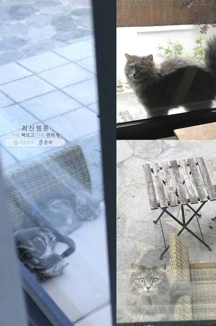 1626405964462.jpeg