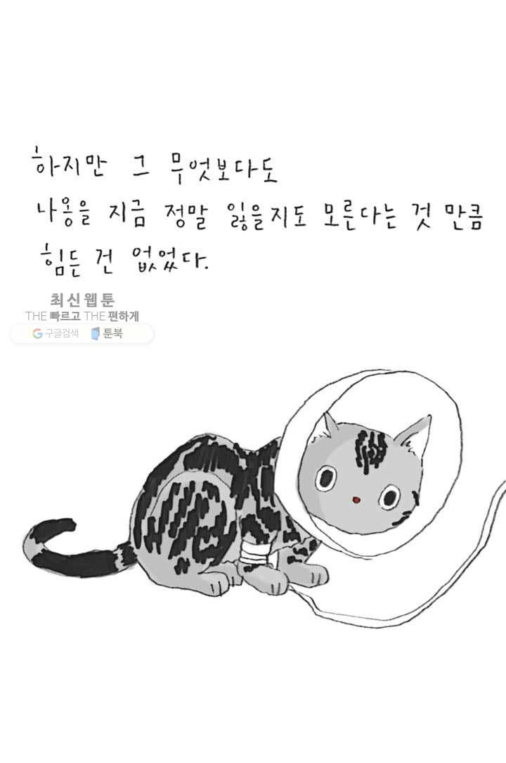 1626405978099.jpeg