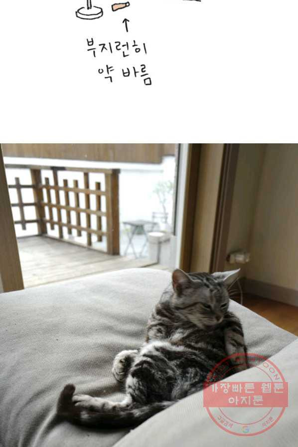 1626405605829.jpeg