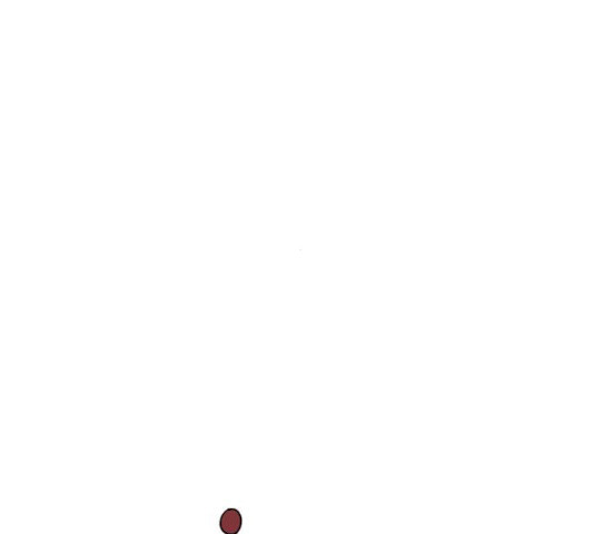 1626930360173.jpeg