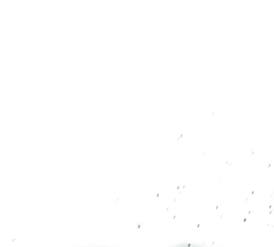 1629410856877.jpeg