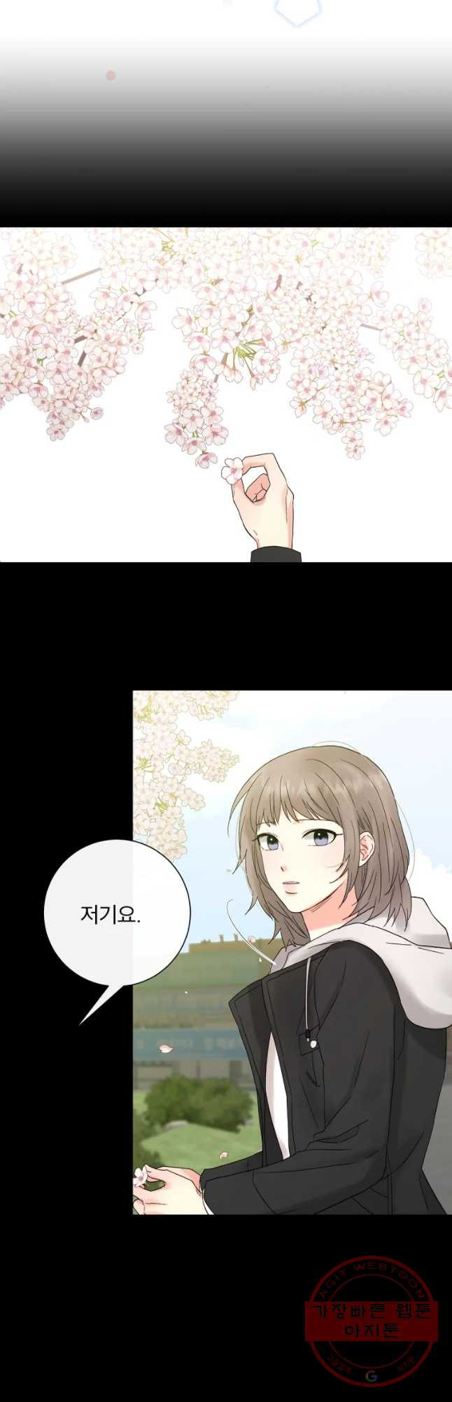 1632190329679xhdi23q925.jpeg
