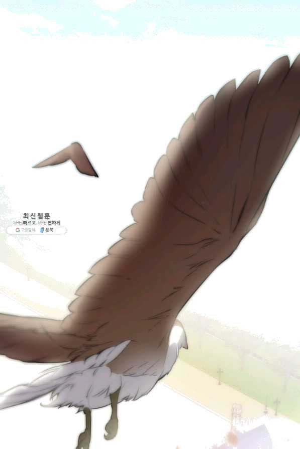 164282404962502t2mxgculo.jpeg