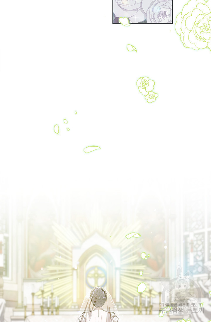 16705375127336wan6zkq2wm.jpeg