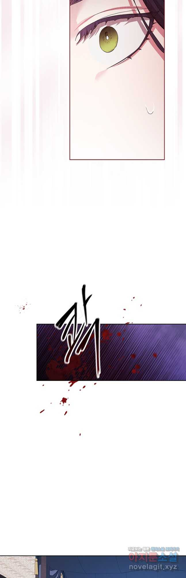 1670537939263wbt8hlh23bo.jpeg