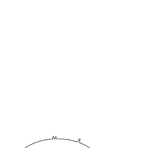 16453304351593lw3veh96x5.jpeg