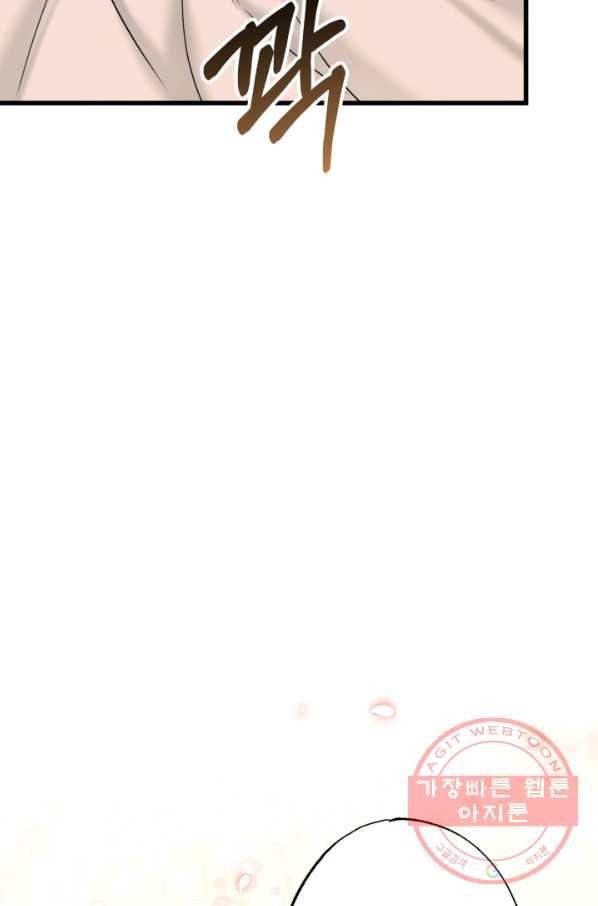 16455574330664wit88fiwk.jpeg