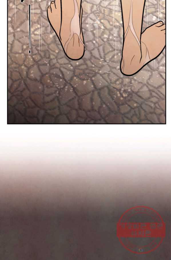 16477462169968kqbbik2o8k.jpeg