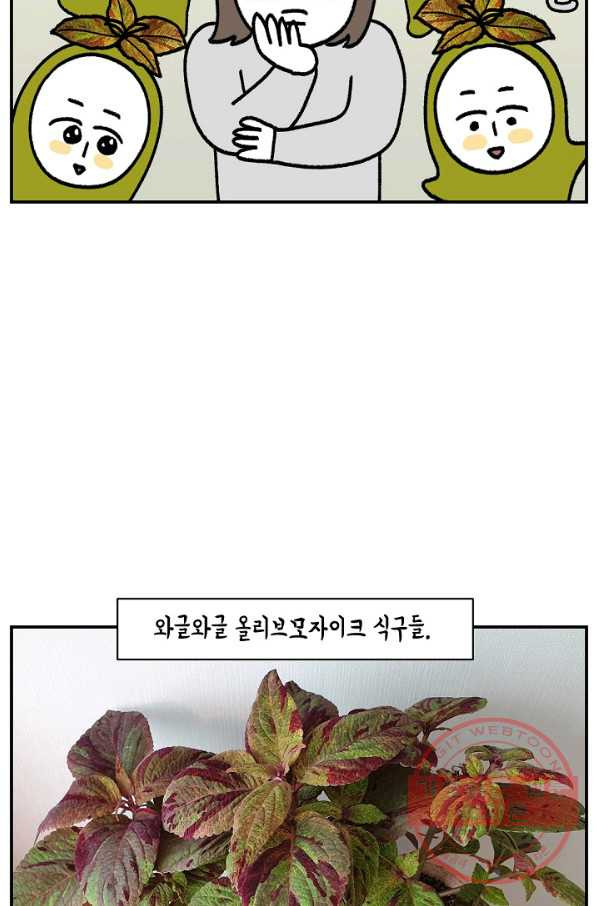 1646270476045mb49d9umyh.jpeg