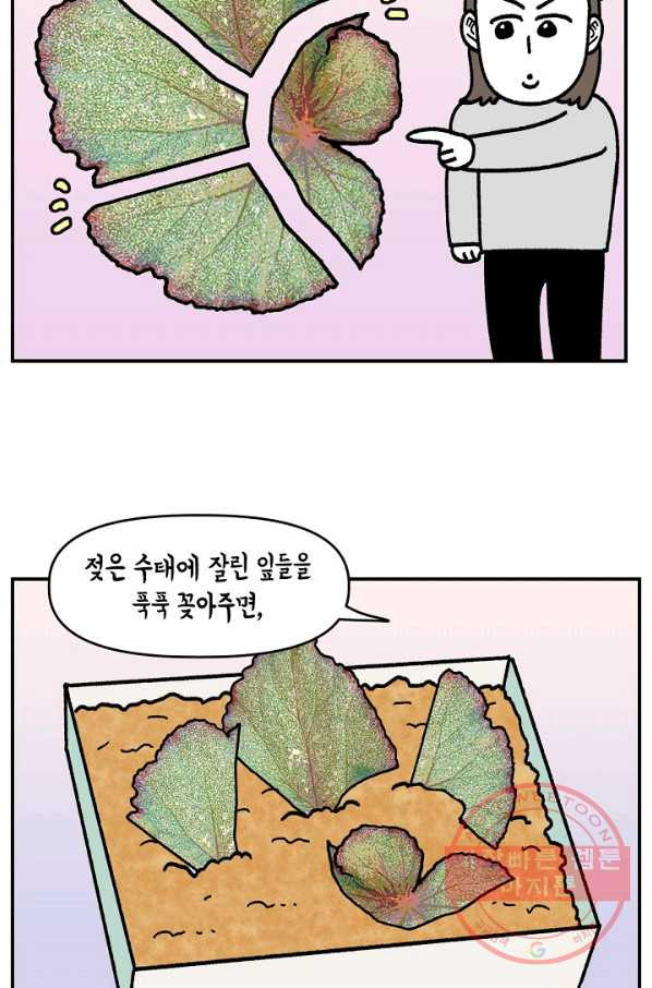 1646270480633zuweoxugliq.jpeg