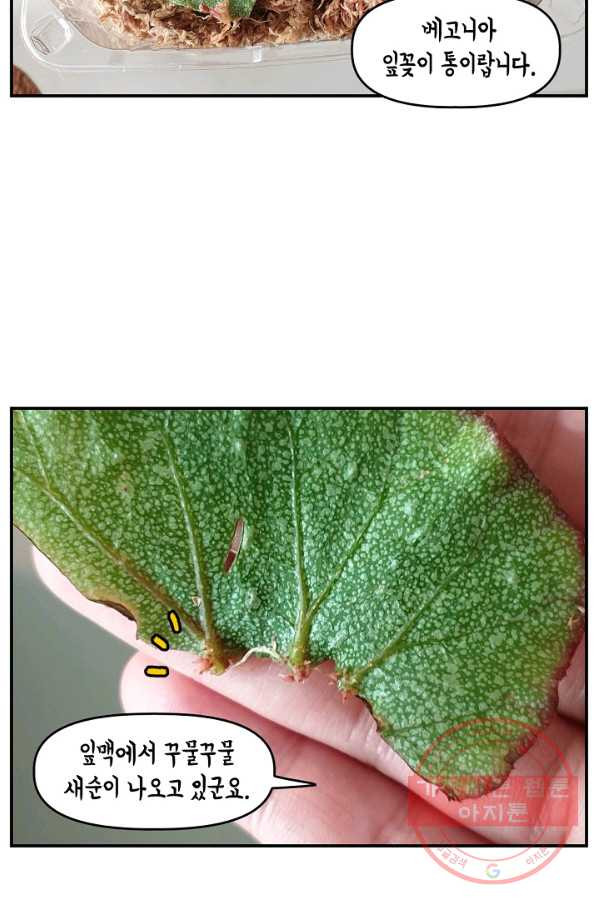 1646270485385clhroikd8k6.jpeg