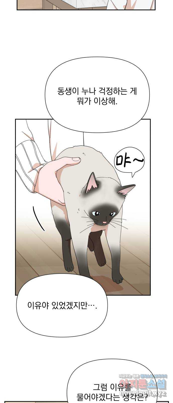 1649655632838r9919otaxfs.jpeg