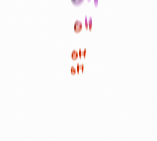1650593516809xn345oxfr7s.jpeg