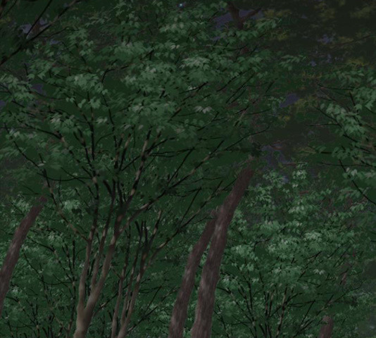 1652736317905zn0yx93x0fl.jpeg