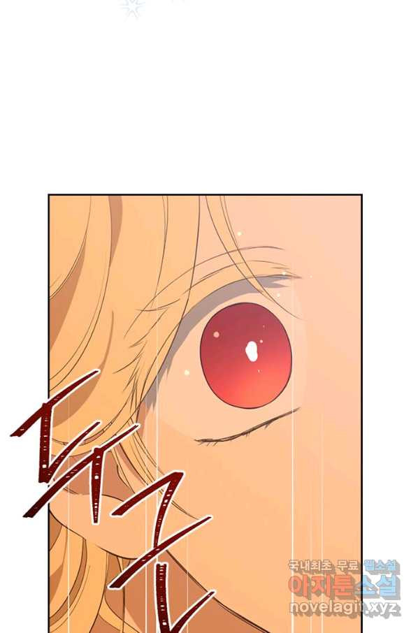 165412800895191wztt2x4x6.jpeg