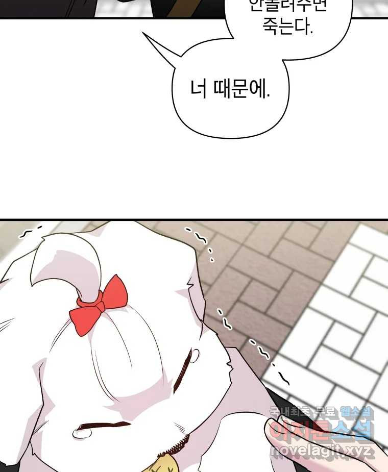 1675293092416kakneq5gz8j.jpeg