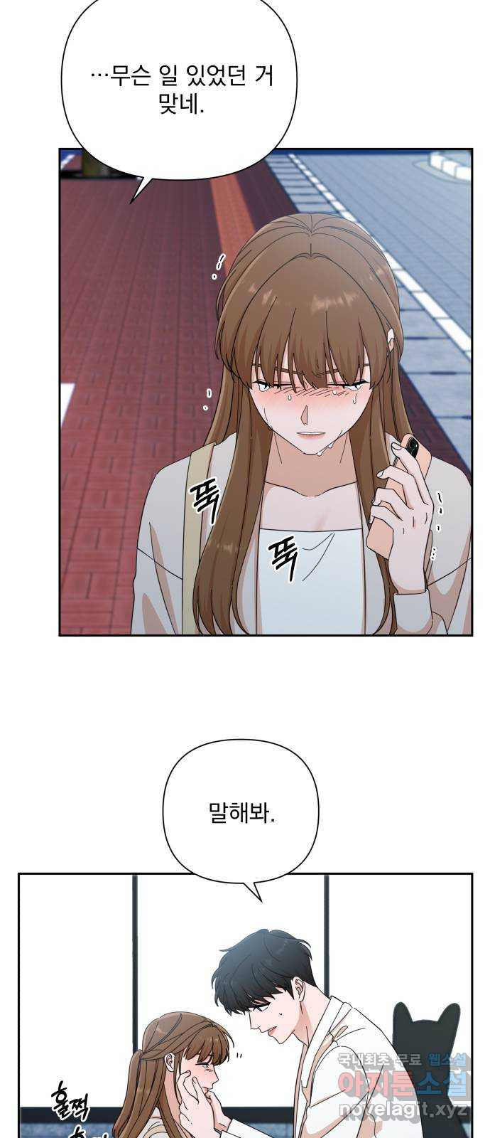 1675651886585c0egqfkflsm.jpeg