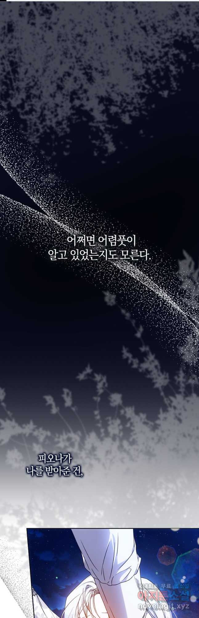1675828250163s511ys80pvs.jpeg