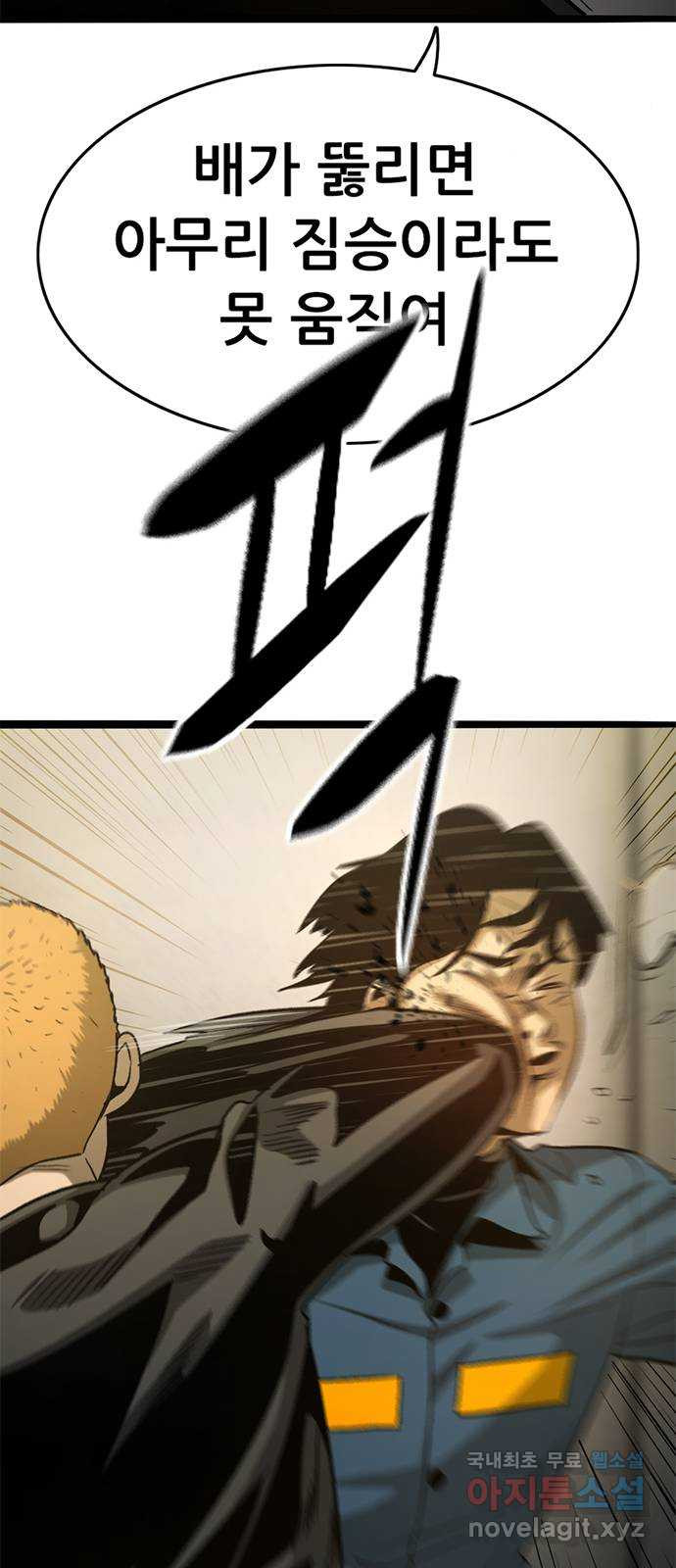 167916817442023n03fshj11.jpeg