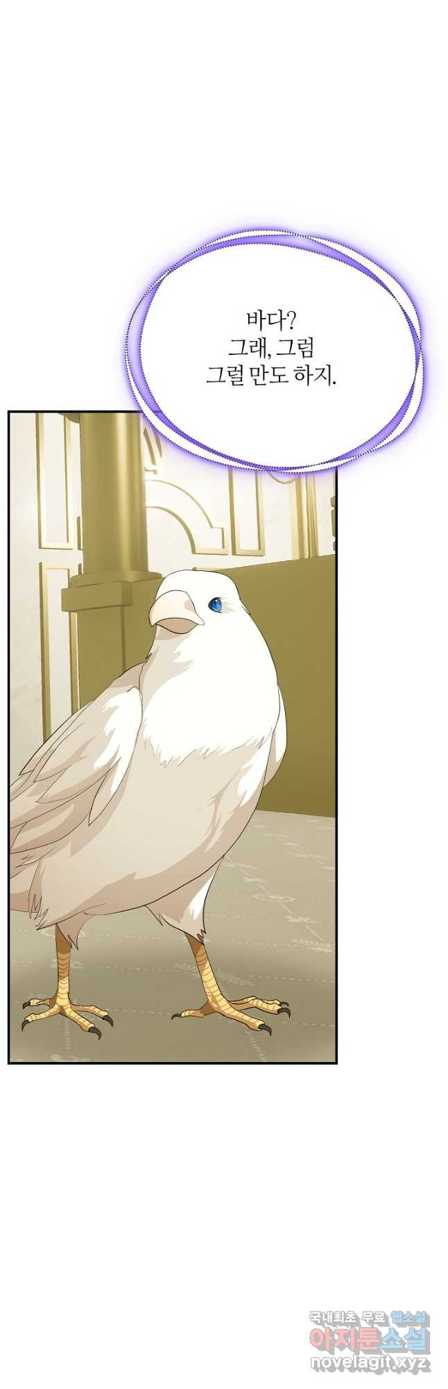 16812662219580d4ohvpb6tt.jpeg