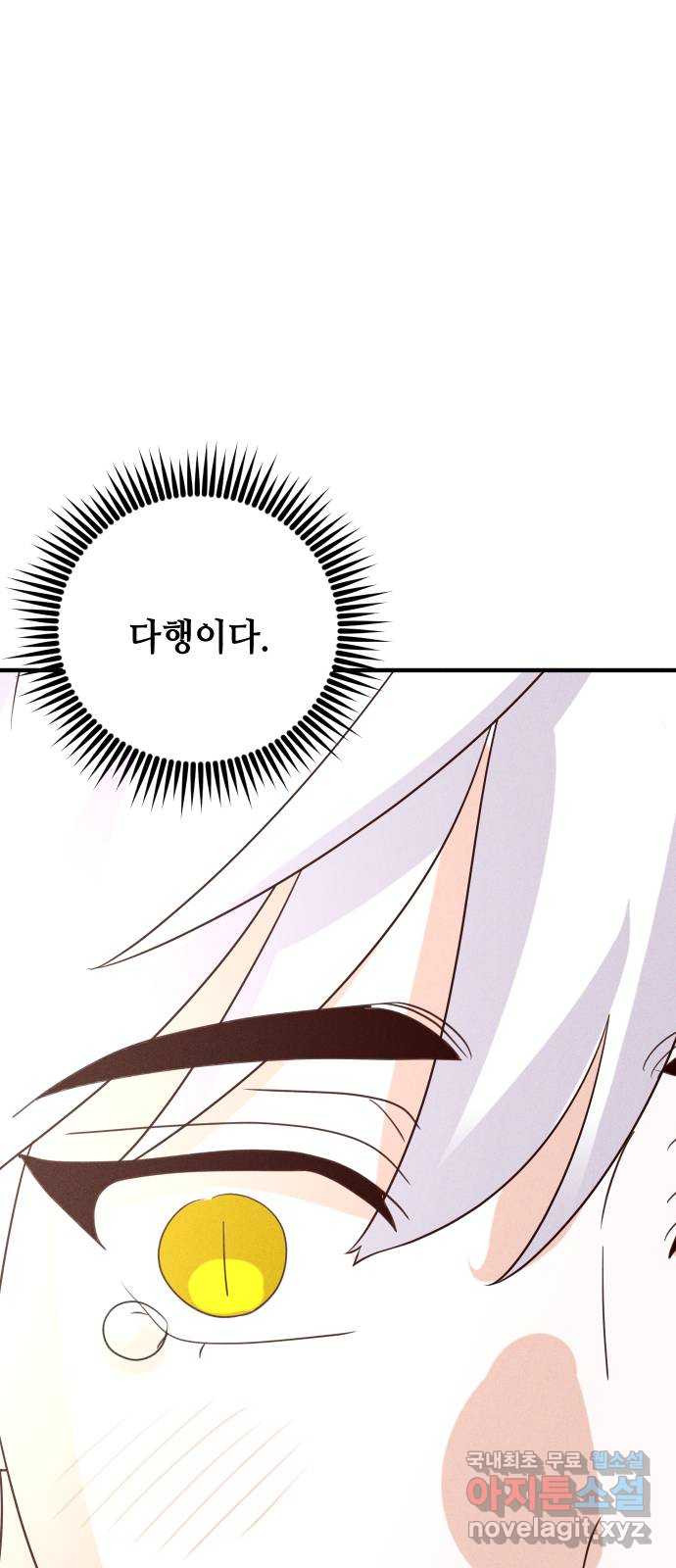1681353775442zlr0yq6a9qs.jpeg