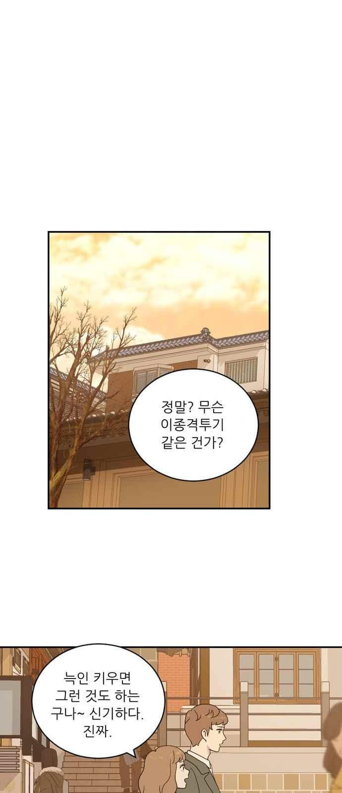 156518326285.jpeg
