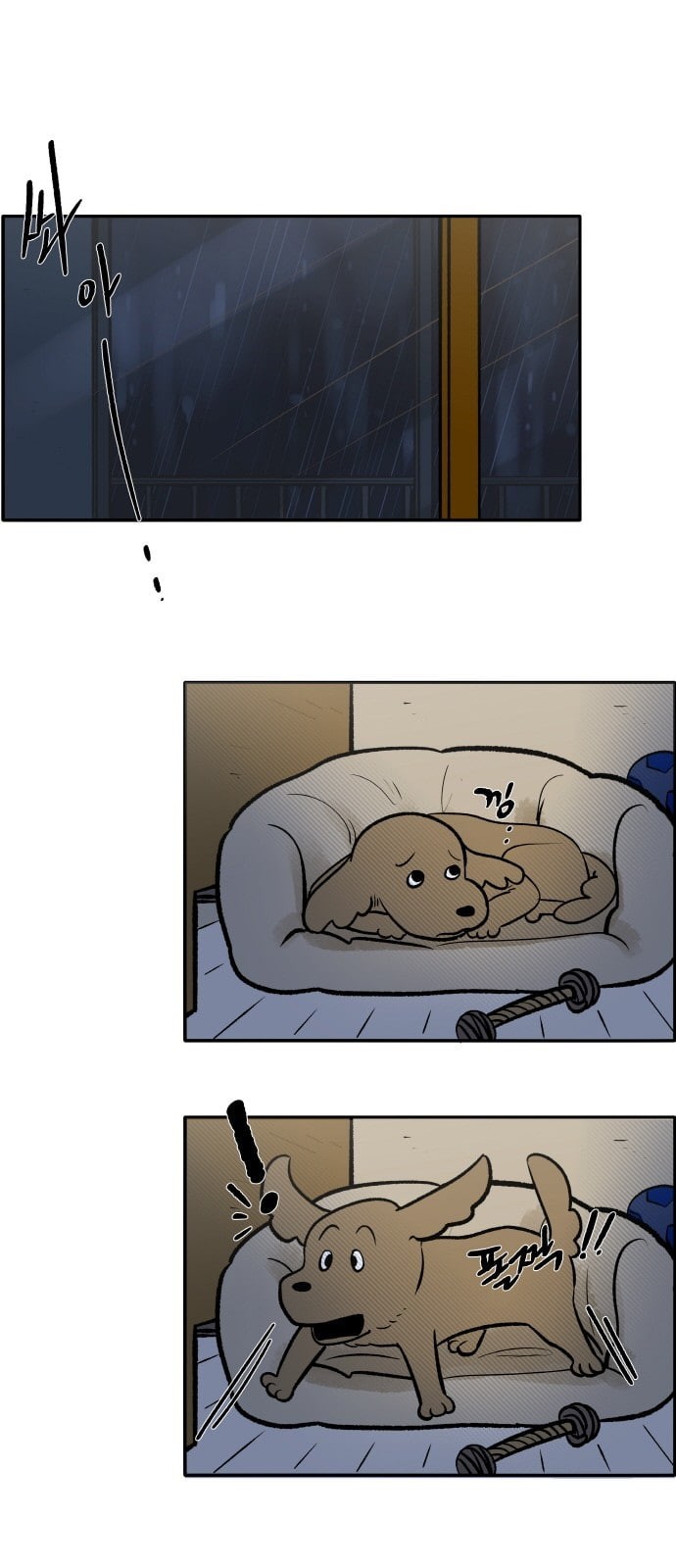 15958196894577.jpeg