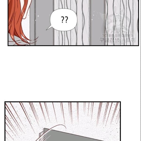 16117618189795.jpeg